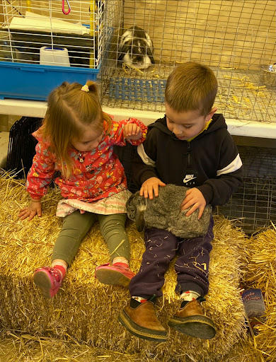 Tulip Festival Petting Farm - Thumbnail
