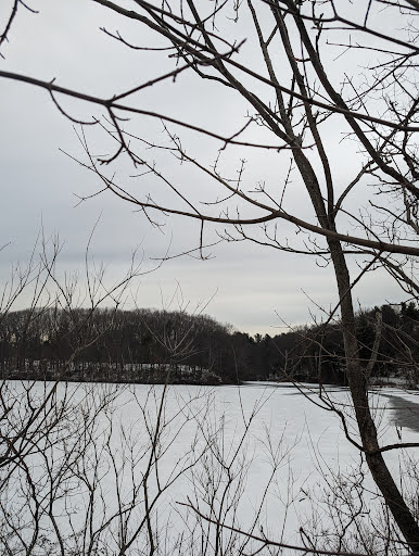 Eli Whitney Park - Thumbnail