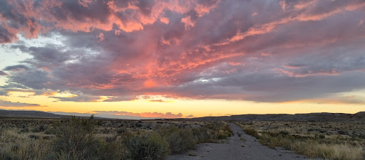 Area-X Trailhead - Thumbnail