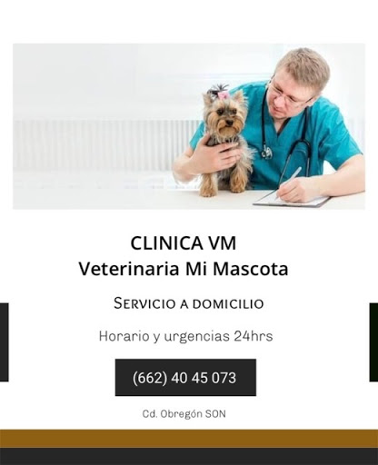 Clínica VM Veterinaria Mi Mascota