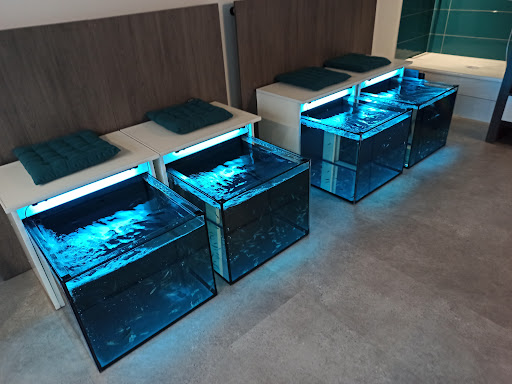 Gb Aqua Fish SPA Albertville Gallery - France