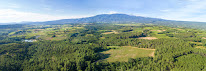 Domaine Childeric à Mormoiron