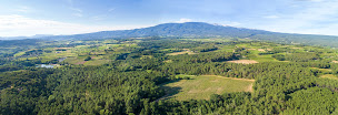 Photo n°1 de Domaine Childeric à Mormoiron (Vignoble)