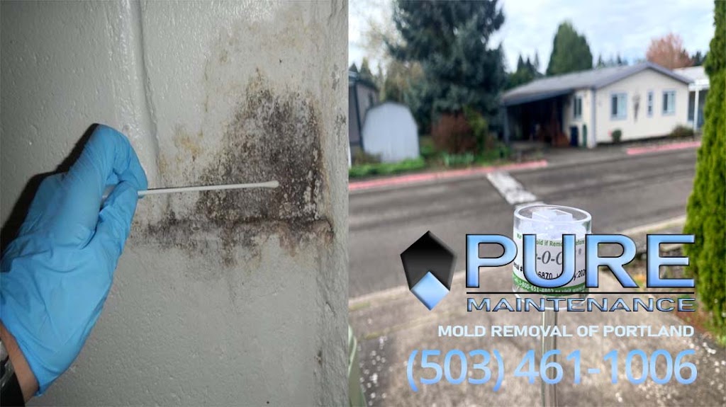 Pure Maintenance Portland photo