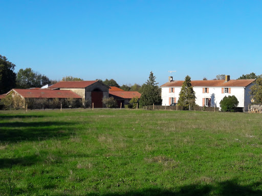 Photo de Le Petit Puy Loup chambres d'hôtes à Saint-Amand-sur-Sèvre (79700)