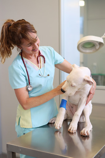 Clínica veterinària Veter 7 - Av. Dolors (Manresa)