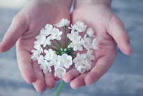 PERIN Aurelie, naturopathie & shiatsu à Chaumercenne