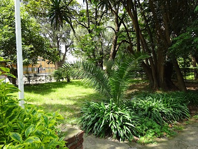 Photos of Lyc&eacute;e Guebre-Mariam