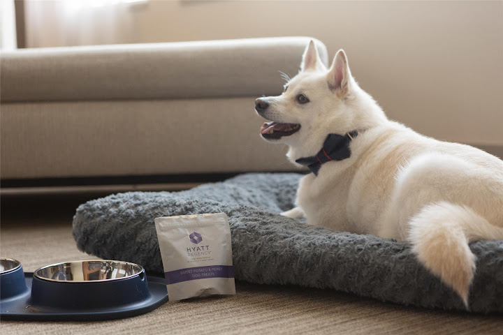 Hyatt Regency Lake Washington at Seattle's Southport by null