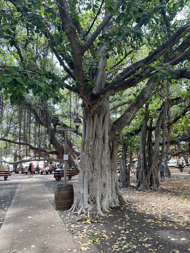 Lahaina Arts Society