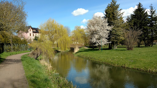Torgelow Gallery - Germany
