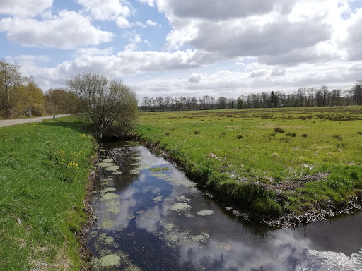 Drentsche Aa - Visual