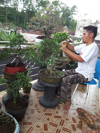 Photos of Toko Amanah Sidojoyo