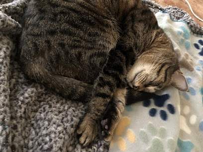 Foto de Animal Clinic of Reading