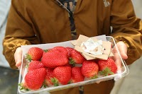 手づみ農園 モカ