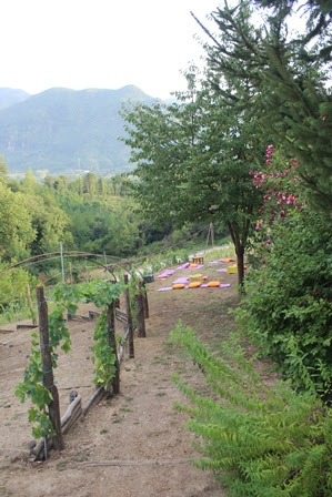 Cantina Santiuorio - Thumbnail
