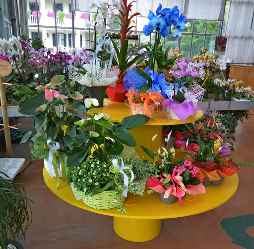Durì Garden Center | Fioreria, Vivaio - Thumbnail