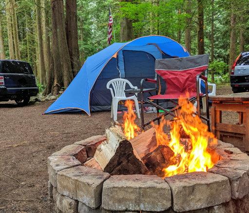 Skagit River Woods - Thumbnail