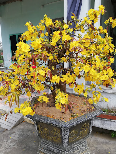 Cửa Hàng Lên Rau