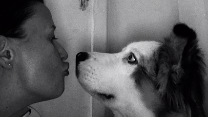 Visites & Gratouilles