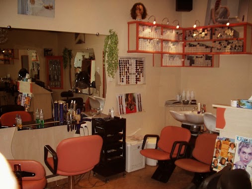 Family Beauty Salon, Author: Családi Szépségszalon