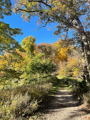 Springbrook State Park - Visual