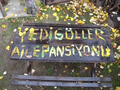 Photos of Yedig&ouml;ller Aile Pansiyonu