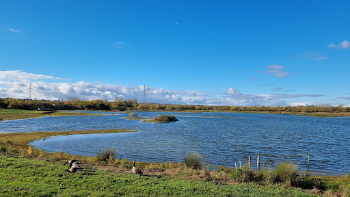 RSPB Dearne Valley - Old Moor - Thumbnail