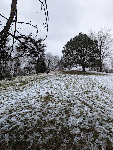 Kingston Park - Thumbnail