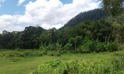 Wallahagoda Railway Station, Central