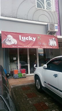 Lucky Star Petstore, Author: Daniel Kadarwoko