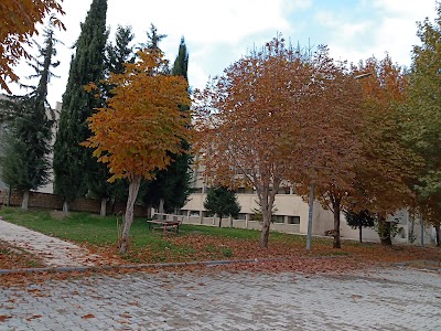 Firat University Faculty of Medicine