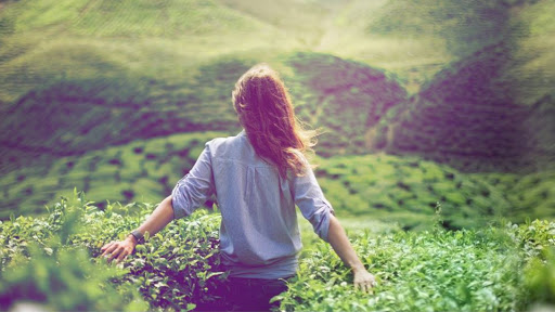 Poradnia Psychologiczna Mokotów - Psycholog Sylwia Kopka - Psychoterapia