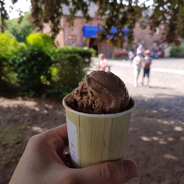 Snugburys Ice Cream