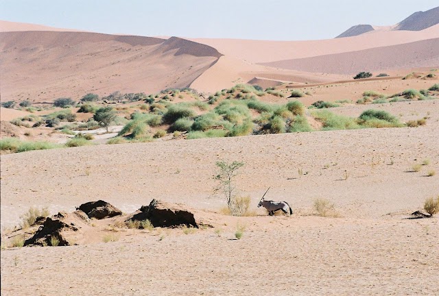 Sossusvlei