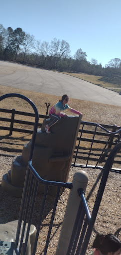 Ryan Mcclain Memorial Playground - Thumbnail