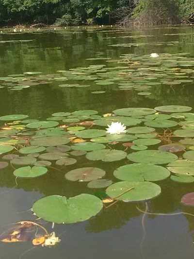 Clendening Lake Marina and Campground