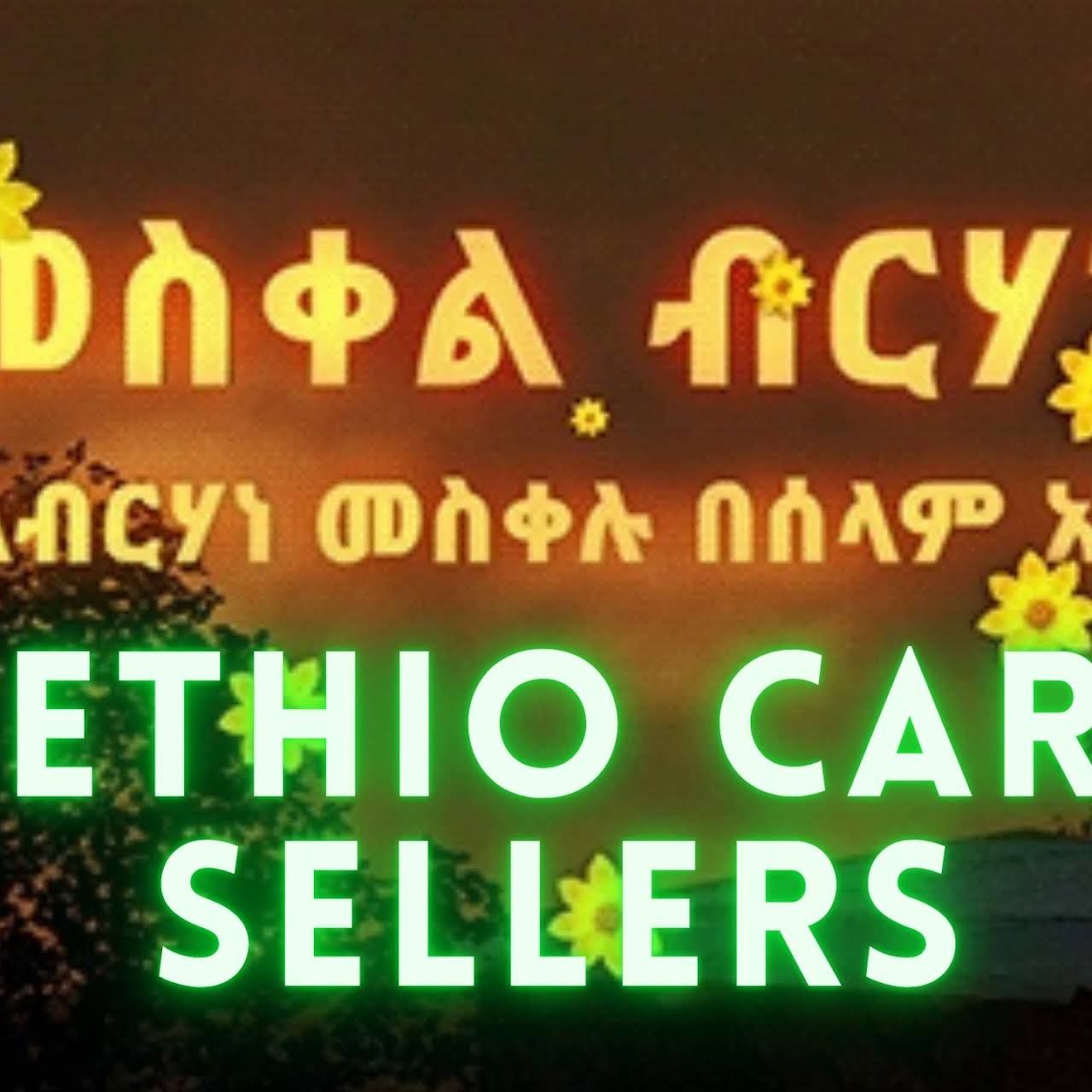 Ethio car sellers Car Dealer in Addis Ababa