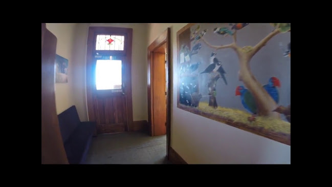 Reviews of Noah's Ark Backpackers in Greymouth - Hotel