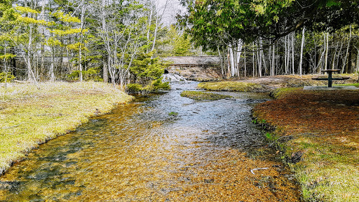 MDOT Roadside Park - Thumbnail