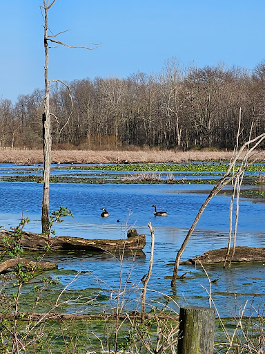 Cooke Family Wildlife Conservation Park, llc Gallery - United States