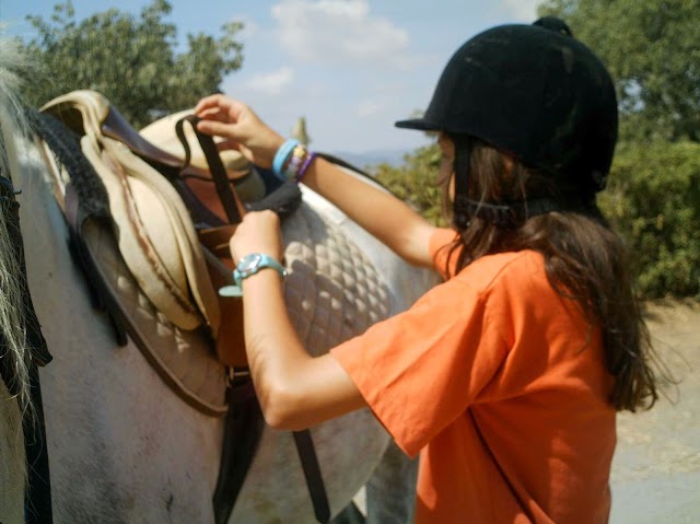 Pony Move