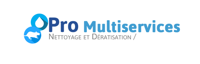 Pro Multiservices
