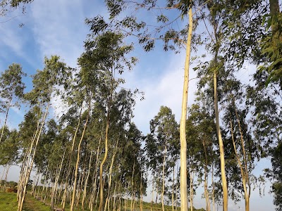 Photos of Sardar's Park