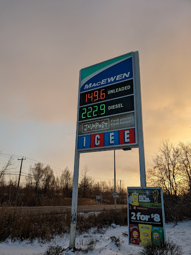 MacEwen Albion - Visual