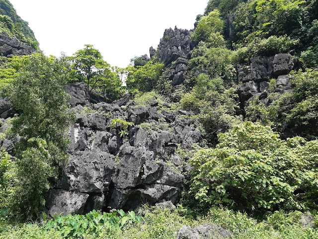 Tam Cốc-Bích Động