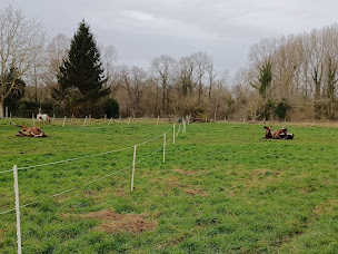 Photo n°10 de Ecuries Bois Carré à Hailles (Club de sport)