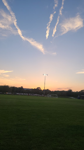 MWL Fields - Visual