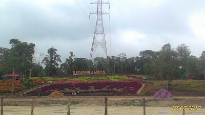 Photos of Merangin Garden