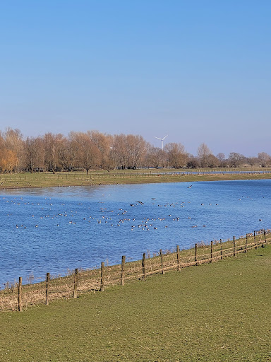 Flutmulde Rees - Thumbnail